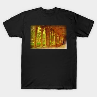 Cloisters. Dominican Monastery. Dubrovnik. T-Shirt